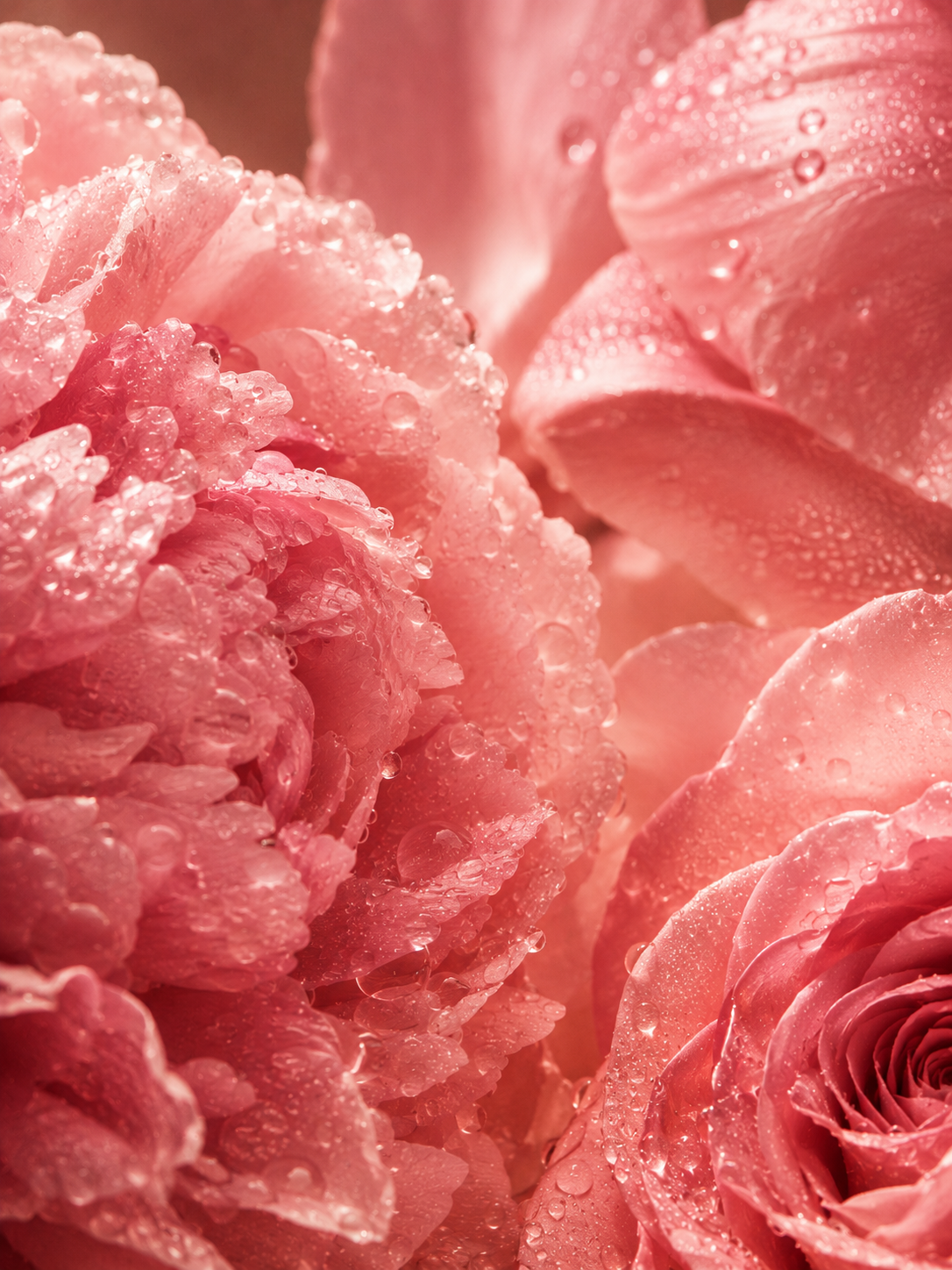 DREAM - EXTRAIT DE PARFUM